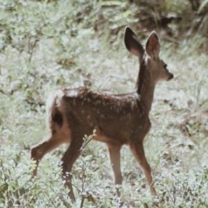 Meet your Posher, Kendra